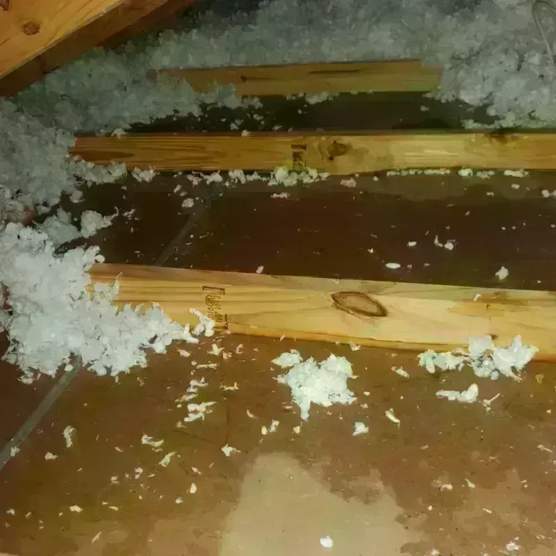 Attic Water Damage in Sierra Madre, CA