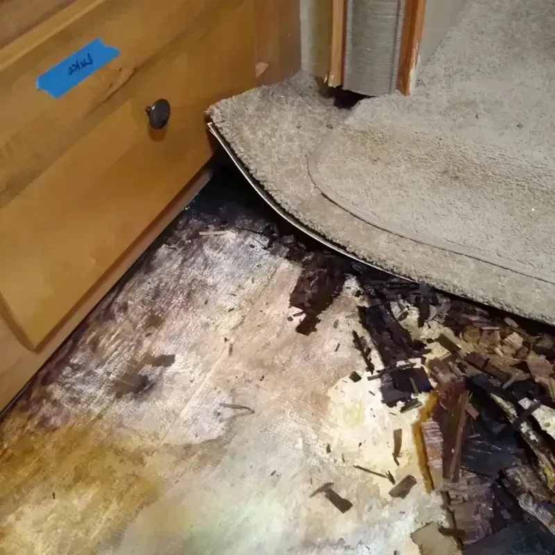 Wood Floor Water Damage in Sierra Madre, CA